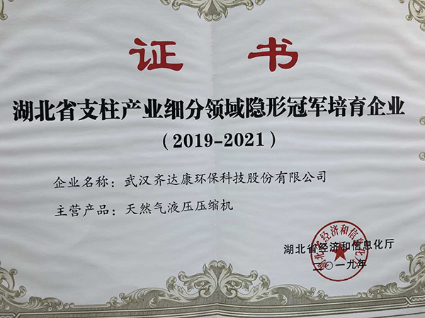 隱形冠軍.jpg